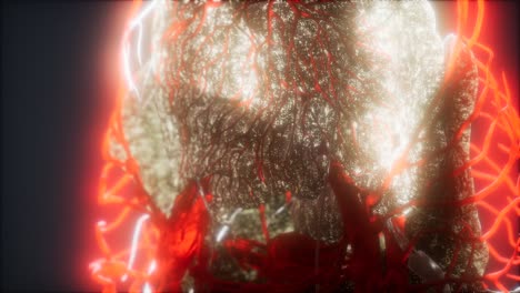 3d-rendered-medically-accurate-animation-of-heart-and-blood-vessels